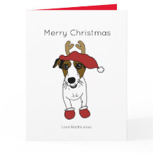Lindo perro Jack Russell Terrier Navidad Santa