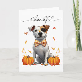 Tarjeta Lindo Pit Bull Agradecido Calabazas de Otoño