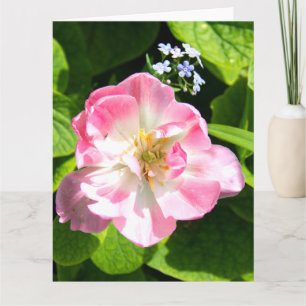 Tarjeta Lindo tulipán rosa
