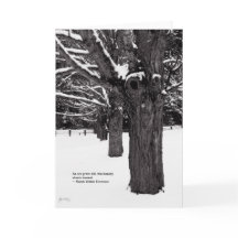 Línea del arce: Cita de Emerson