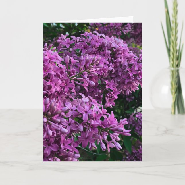 Tarjeta Línlacas rosadas púrpura | foto floral rosa románt (Anverso)