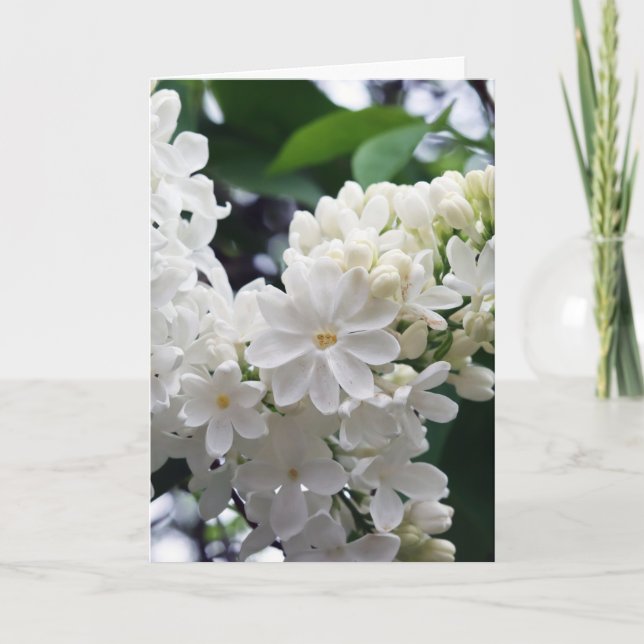 Tarjeta Lino blanco en blanco (Anverso)