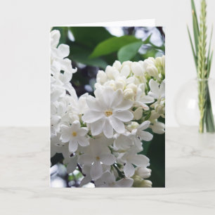 Tarjeta Lino blanco en blanco
