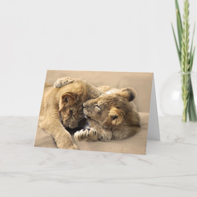 Tarjeta Lion cubs mejores amigos (Anverso)