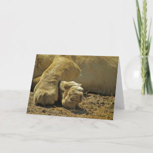 Tarjeta Lion Paws