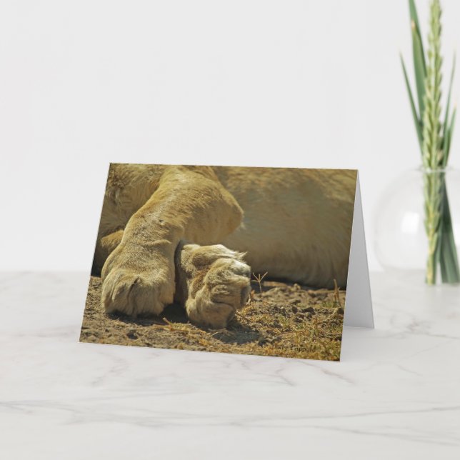 Tarjeta Lion Paws (Anverso)