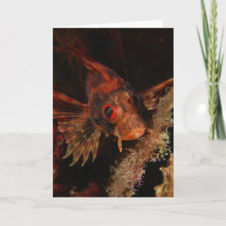 Tarjeta Lionfish hawaiano