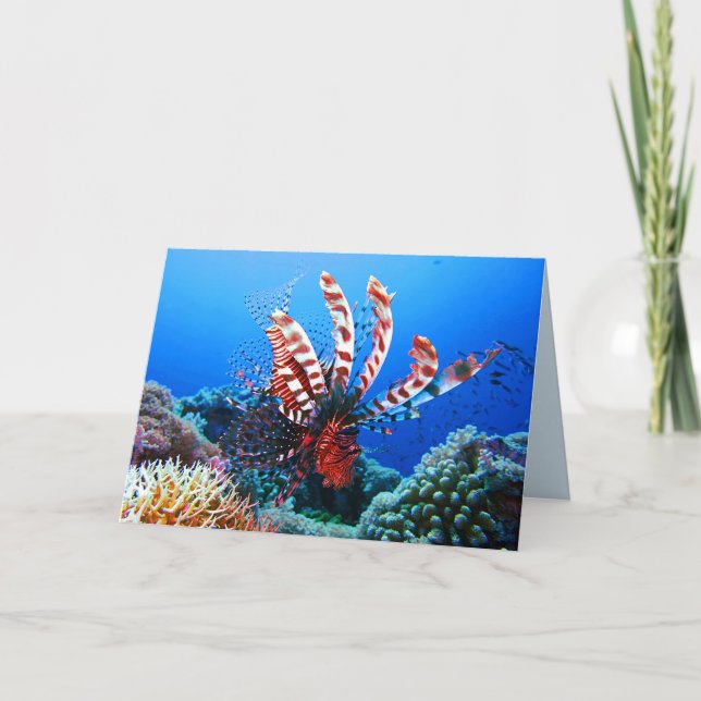 Tarjeta Lionfish tropical hermoso (Anverso)
