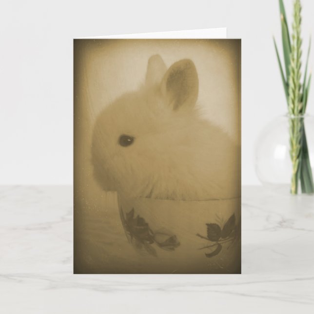 Tarjeta Lionhead Bunny and Teacup (Anverso)