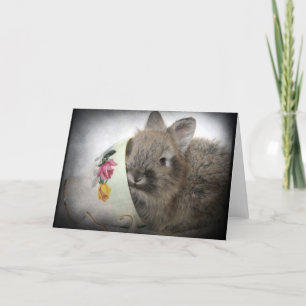 Tarjeta Lionhead Bunny and Teacup