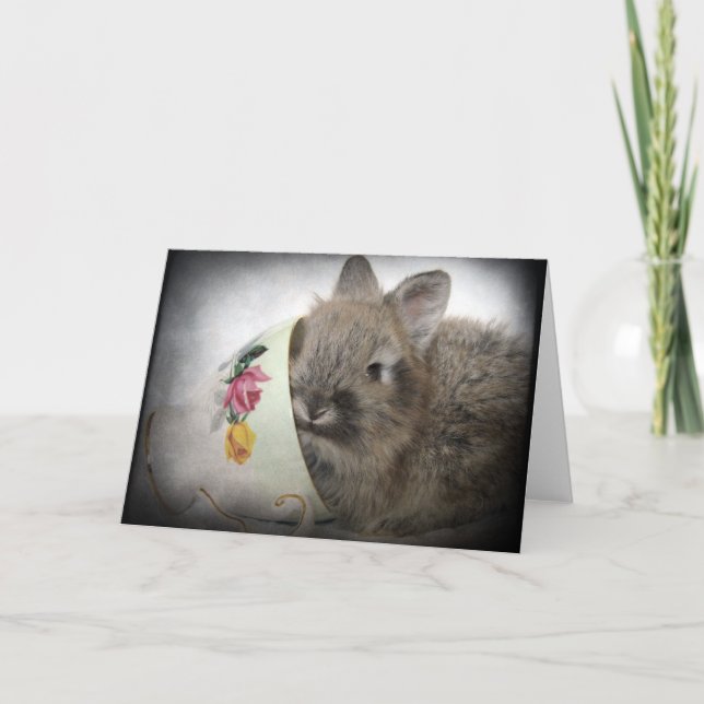 Tarjeta Lionhead Bunny and Teacup (Anverso)