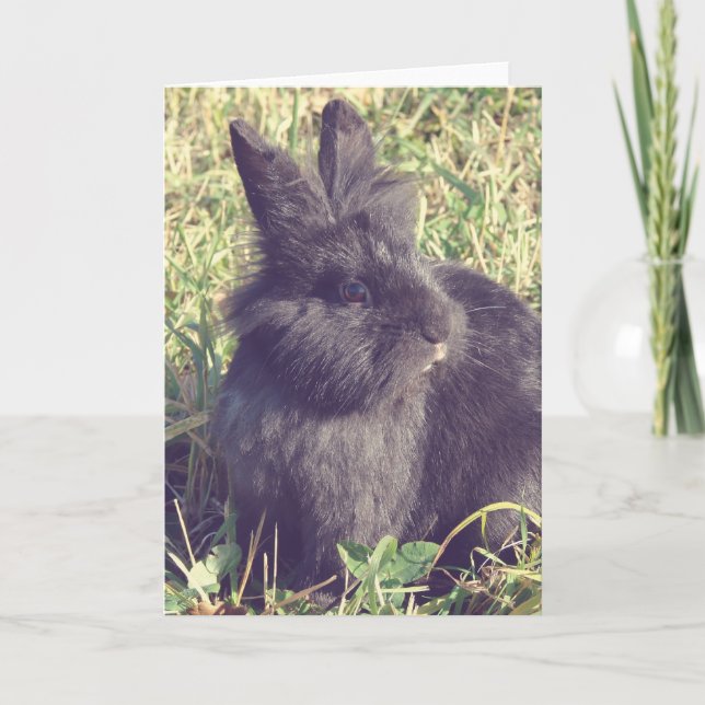 Tarjeta Lionhead Bunny Faux Vintage (Anverso)
