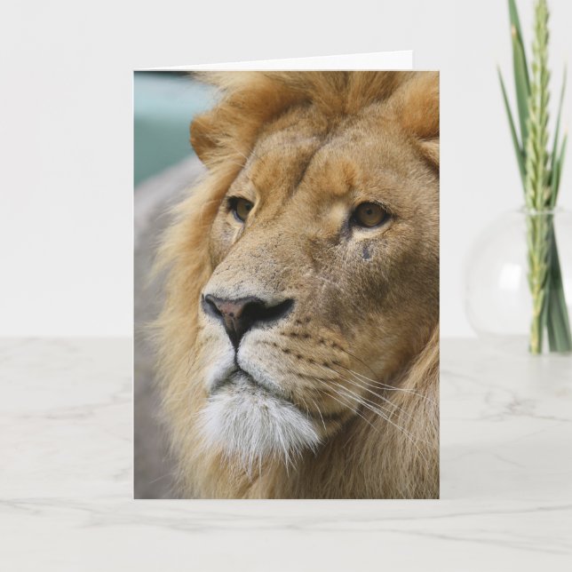 Tarjeta LionKing (Anverso)