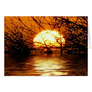 TARJETA líquida de la puesta del sol