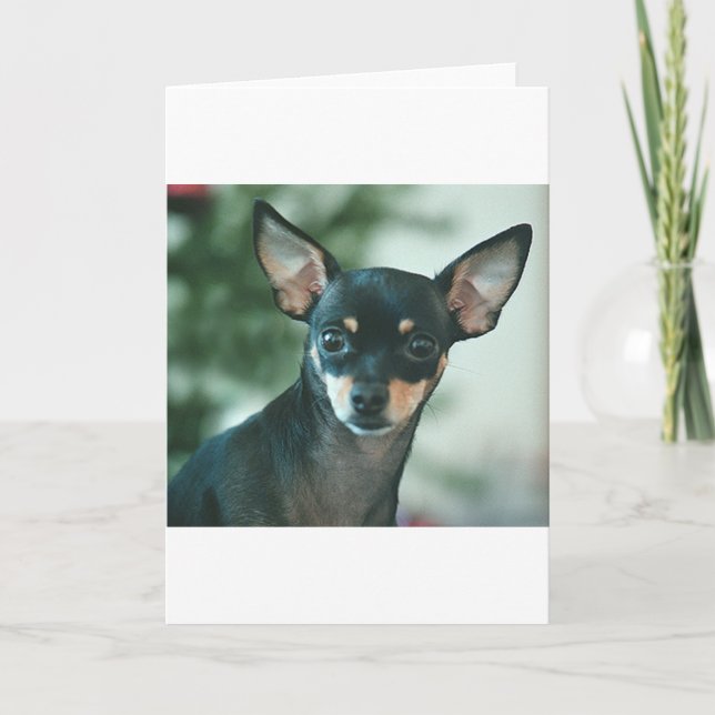 Tarjeta Lirio (Anverso)