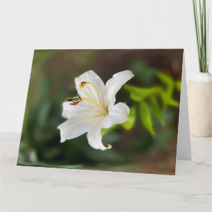 Tarjeta Lirio blanco brillante
