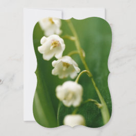 Tarjeta Lirio blanco del valle (Convallaria majalis)