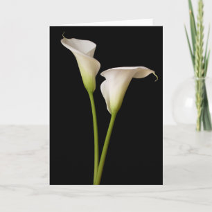 Tarjeta Lirio Calla
