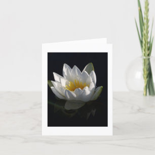 Tarjeta Lirio de agua Notecard