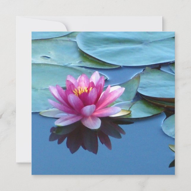 Tarjeta Lirio de agua rosa (Anverso)
