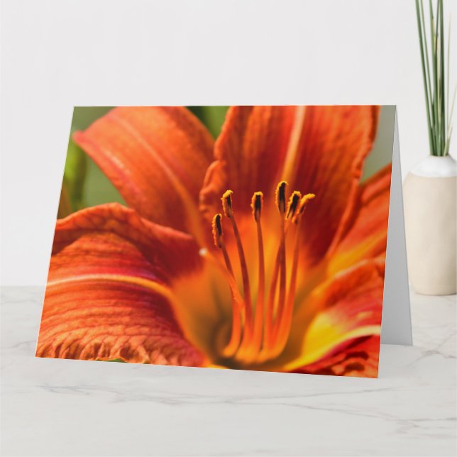 Tarjeta Lirio de día anaranjado Notecard (Anverso)