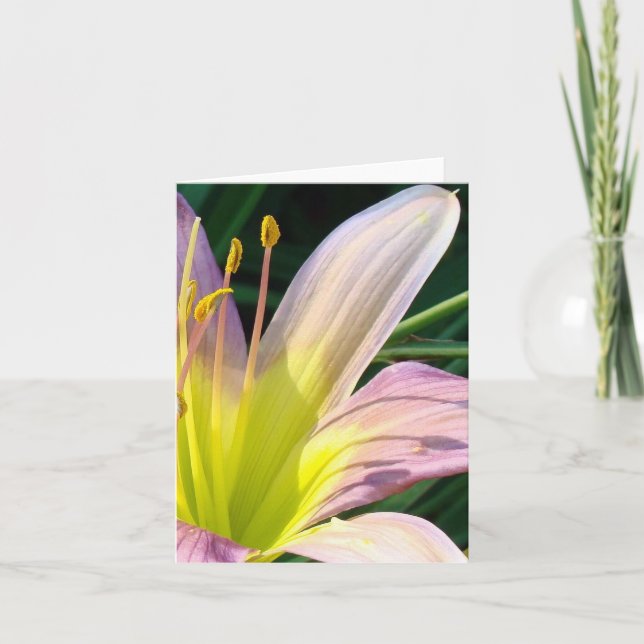 Tarjeta ¡Lirio de la buena mañana!  Notecard (Anverso)