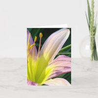 ¡Lirio de la buena mañana!  Notecard