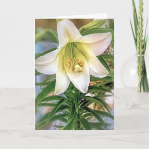 Tarjeta Lirio de Pascua