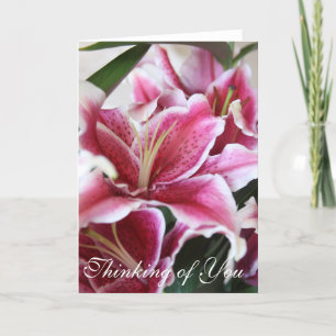 Tarjeta Lirio del Stargazer