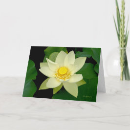 Tarjeta Lirio flotante amarillo pálido