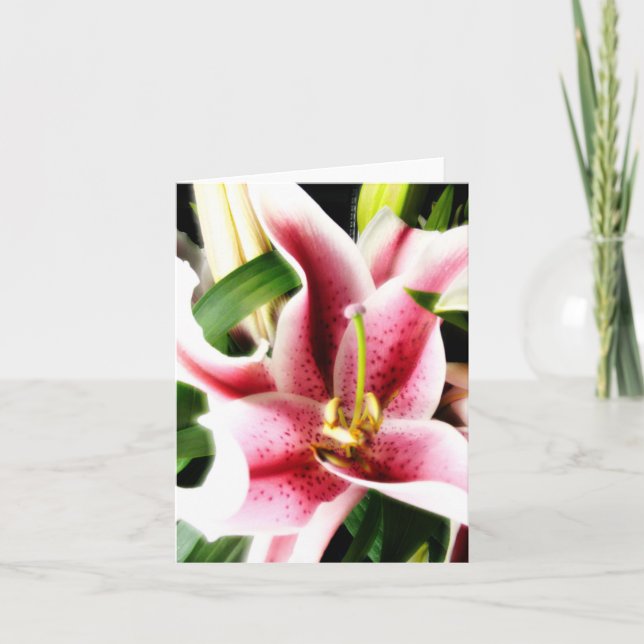 Tarjeta Lirio Notecard del Stargazer (Anverso)
