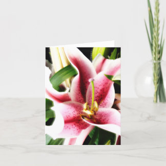 Tarjeta Lirio Notecard del Stargazer