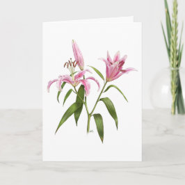 Tarjeta Lirio oriental - Stargazer