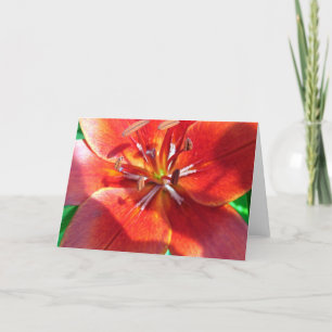 Tarjeta Lirio rojo