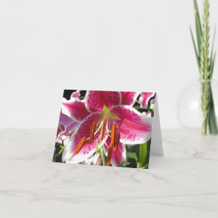 Tarjeta Lirio rosa floral rosa flor tropical