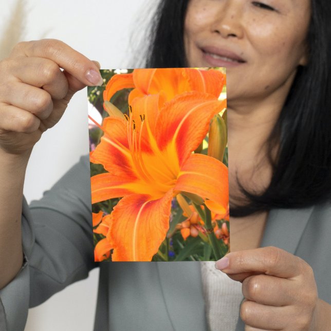 Tarjeta Lirio tigre en el jardín (Subido por el creador)