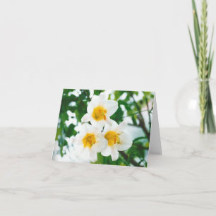 Tarjeta Lirios blancos rústicos - Lilium candidum