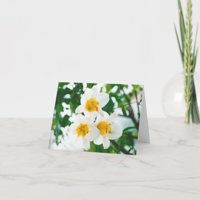 Tarjeta Lirios blancos rústicos - Lilium candidum (Anverso)