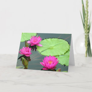 Tarjeta Lirios de agua rosados