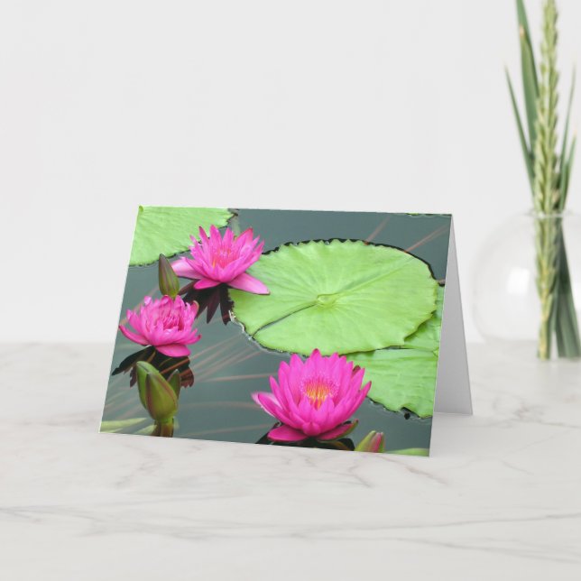 Tarjeta Lirios de agua rosados (Anverso)