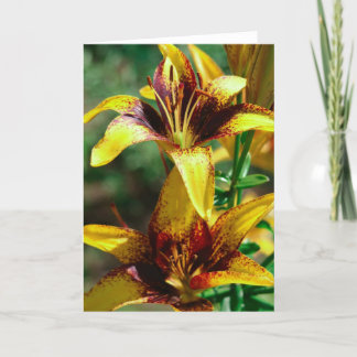 Tarjeta lirios de los campos