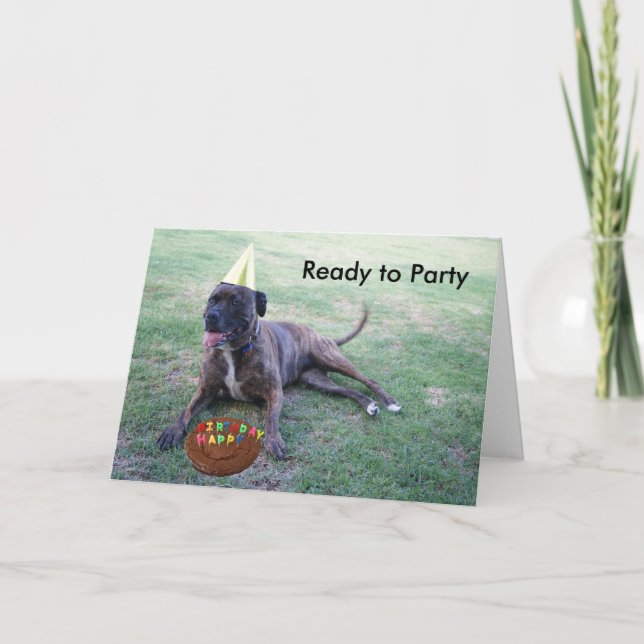 Tarjeta Listo para el Fiesta con Perro Cumpleaños y Pastel (Anverso)