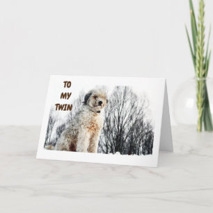 TARJETA LISTO PARA ESCUCHAR A MI DOS TIENE "EL MEJOR CUMPL