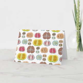 Tarjeta Lithops - transparente