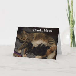 Tarjeta Litro de gato de Día de la Madre
