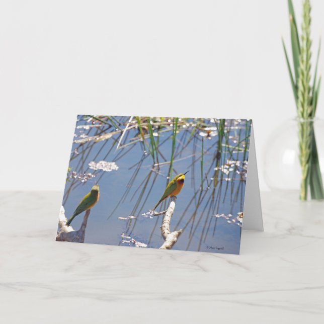 Tarjeta Little Bee Eater (Anverso)