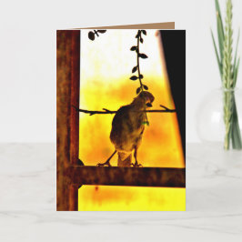 Tarjeta Little Finch