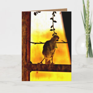 Tarjeta Little Finch