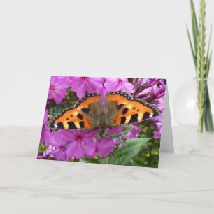 Tarjeta Little Fox Butterfly Notecard