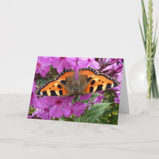 Tarjeta Little Fox Butterfly Notecard (Anverso)